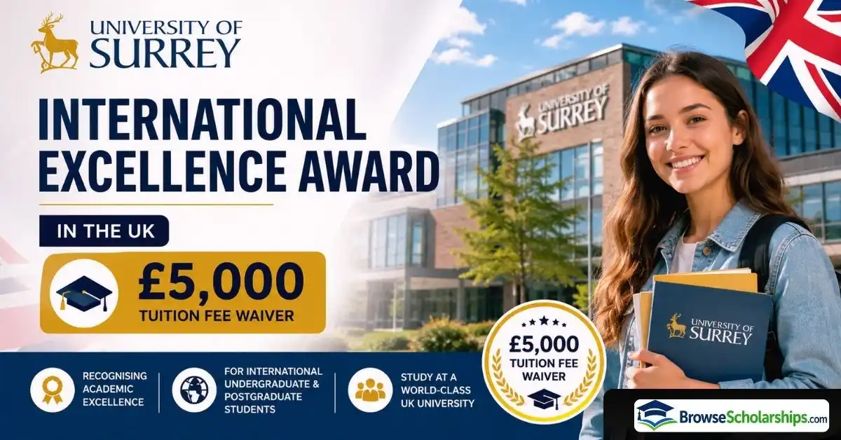 university-of-surrey-international-excellence-award Browse Scholarships